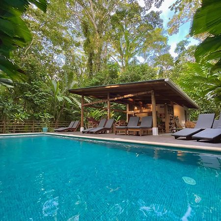 Satta Lodge (Adults Only) Puerto Viejo de Talamanca Exterior foto