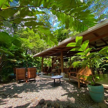 Satta Lodge (Adults Only) Puerto Viejo de Talamanca Exterior foto