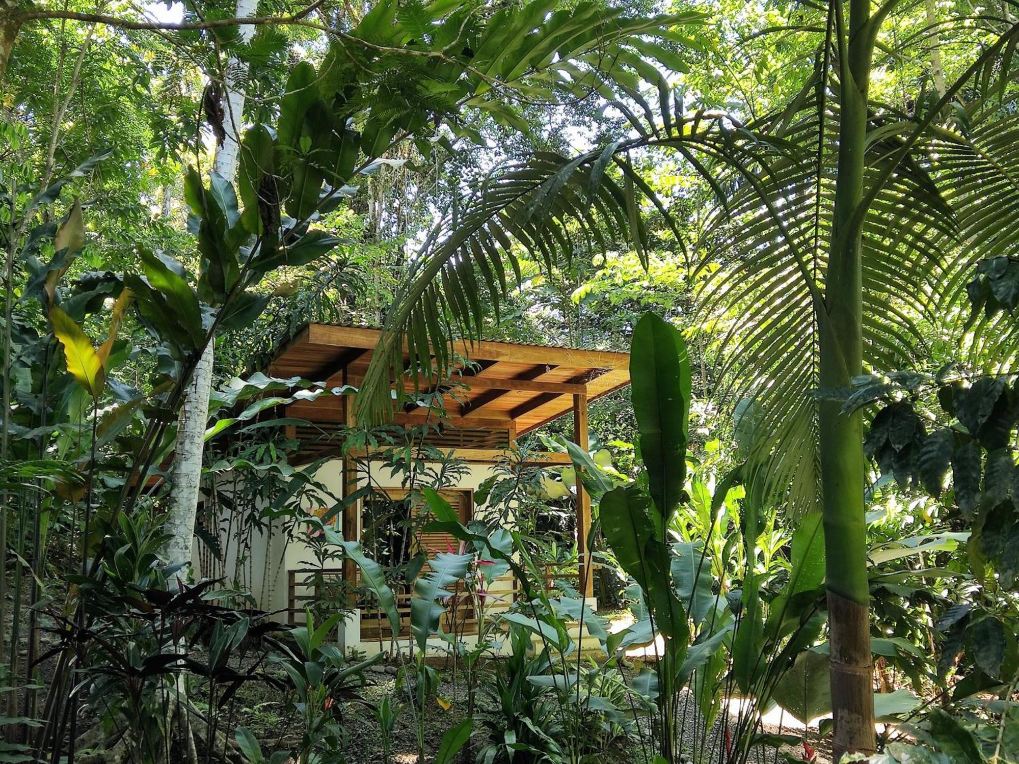 Satta Lodge (Adults Only) Puerto Viejo de Talamanca Cameră foto