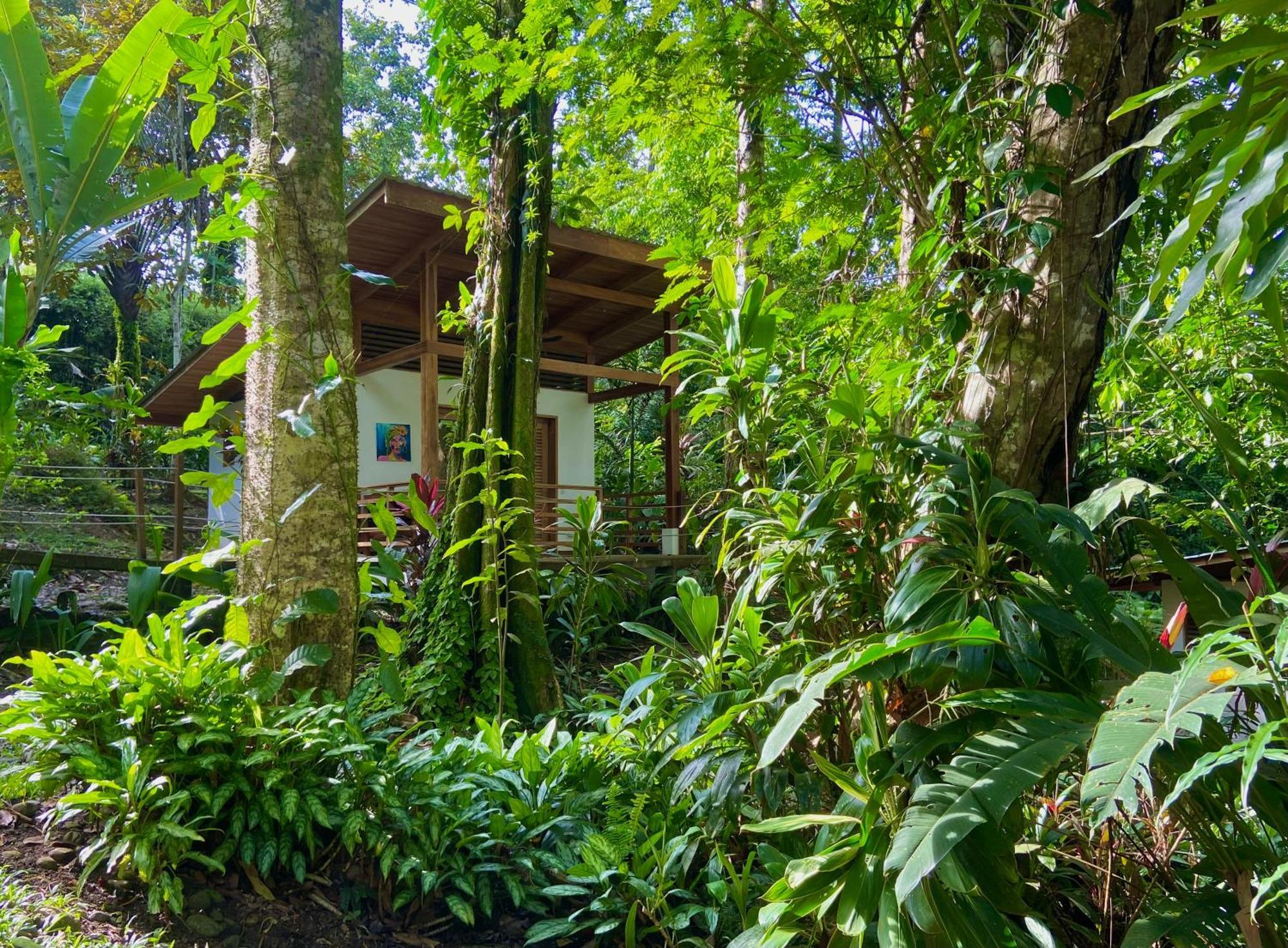 Satta Lodge (Adults Only) Puerto Viejo de Talamanca Exterior foto