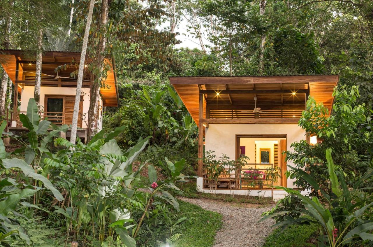 Satta Lodge (Adults Only) Puerto Viejo de Talamanca Exterior foto
